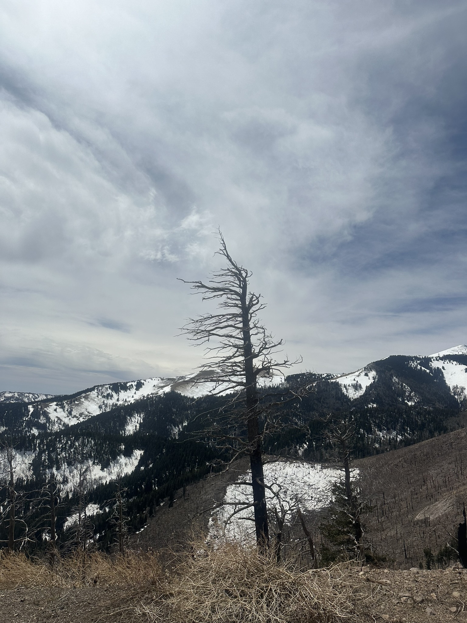 United States-National Parks-Other - Image 3078